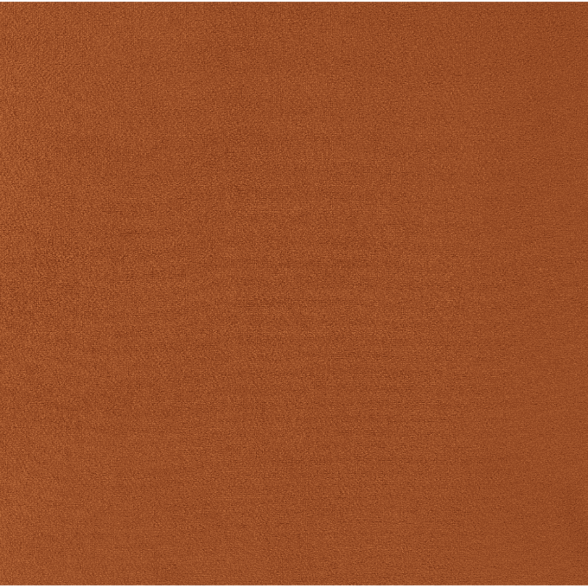 New Pacific Direct Arianna Velvet Fabric Accent Arm Chair 1900183-565 - 1900183-565